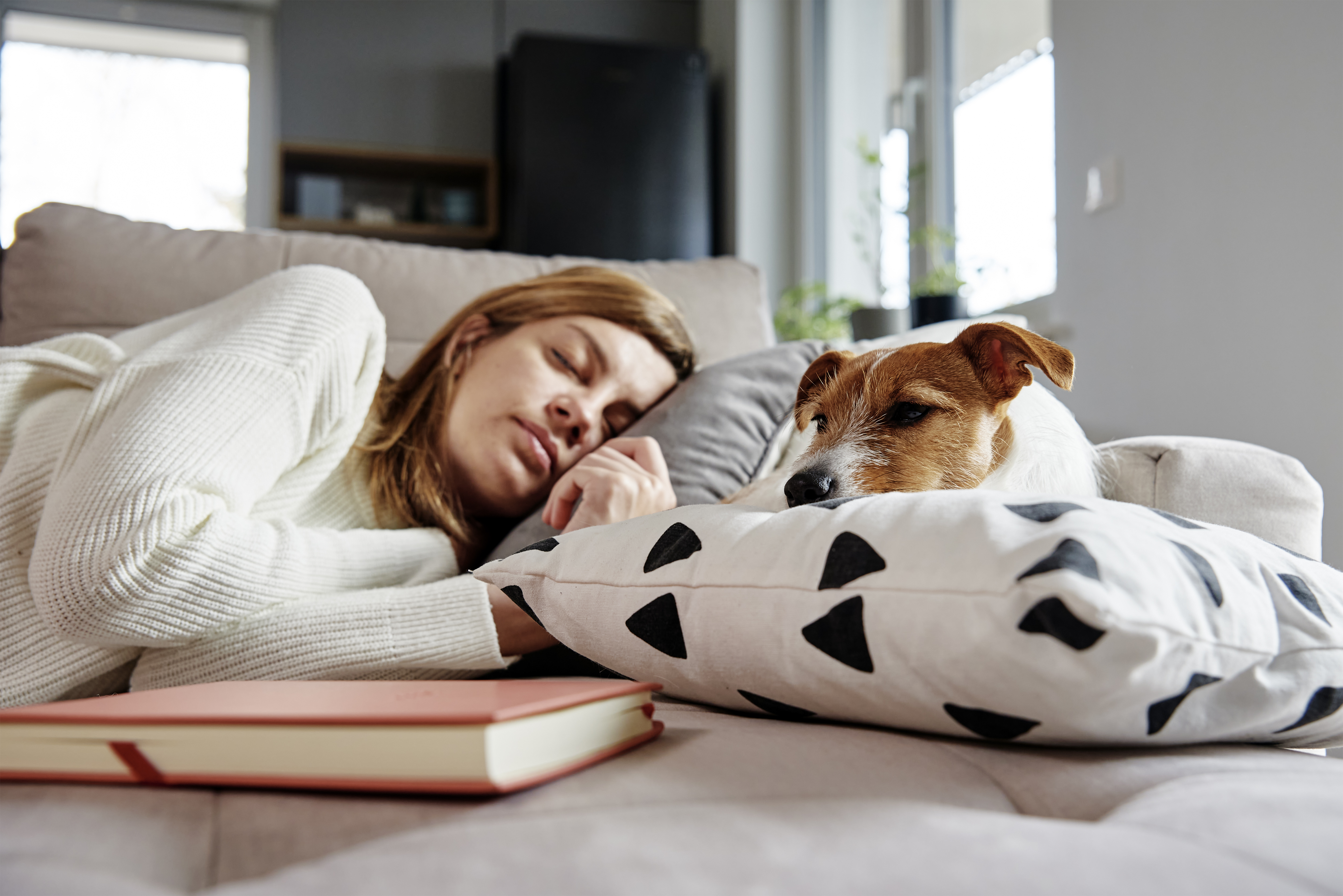 Woman sleep with dog on sofa